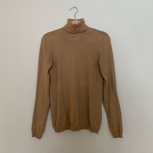 GAP Turtleneck Sweater
